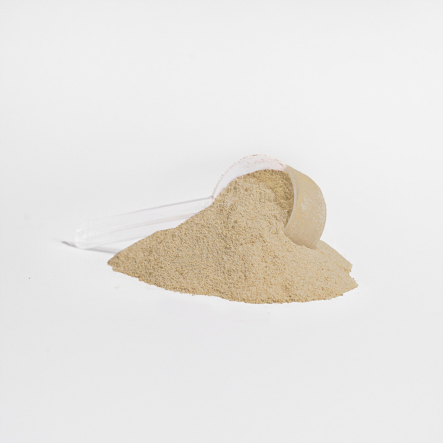 Advanced Formula Whey Protein Isolate (Vanilla)